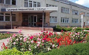 Сокол Сокол